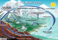 Image 10The water cycle