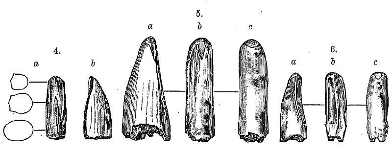 File:Aublysodon.jpg