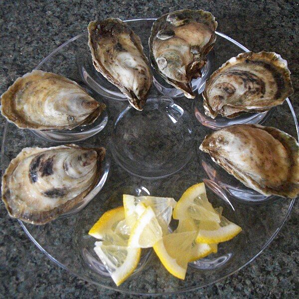 File:BellisleOysters 2012.jpg