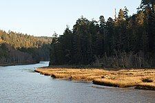 Mendocino Headlands