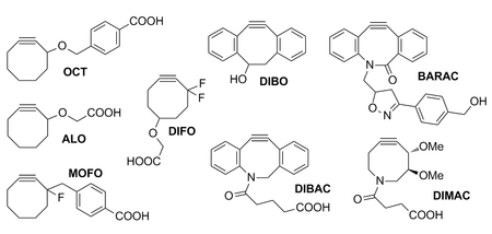 Strained cyclooctynes developed for copper-free click chemistry