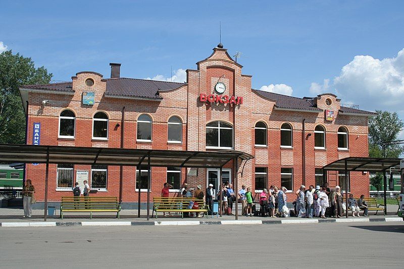 File:Elektrogorsk-station.jpg