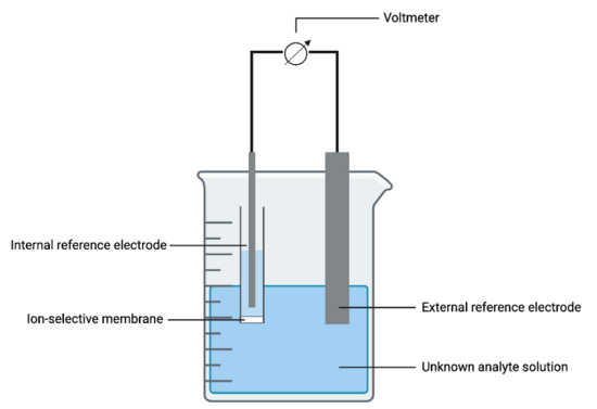 General set-up of ion-selective electrode