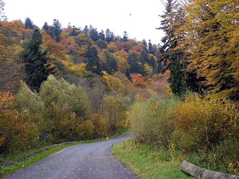 File:Jaśliski Park Krajobrazowy.jpg