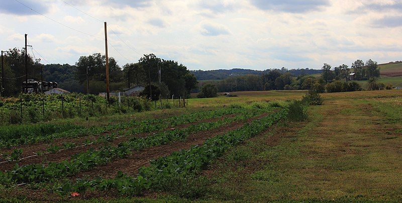 File:Kentland Farm.jpg