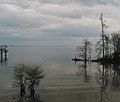 Lake Moultrie