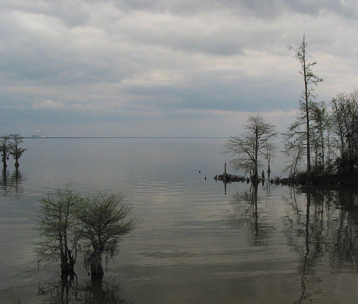 File:Lake Moultrie.jpg