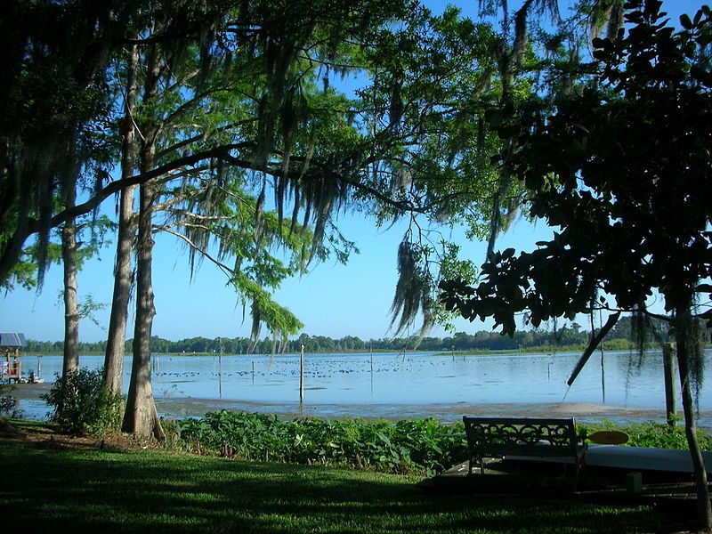 File:Lake Rousseau.JPG