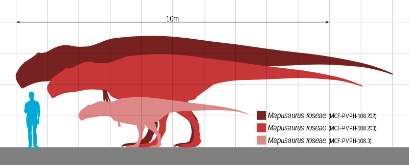 File:Mapusaurus Scale.svg