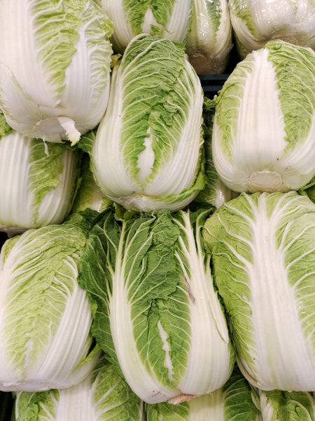 File:Napa cabbages.png