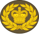 File:New Zealand-Army-OR-8.svg