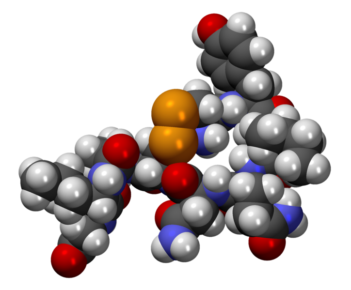 File:OxitocinaCPK3D.png