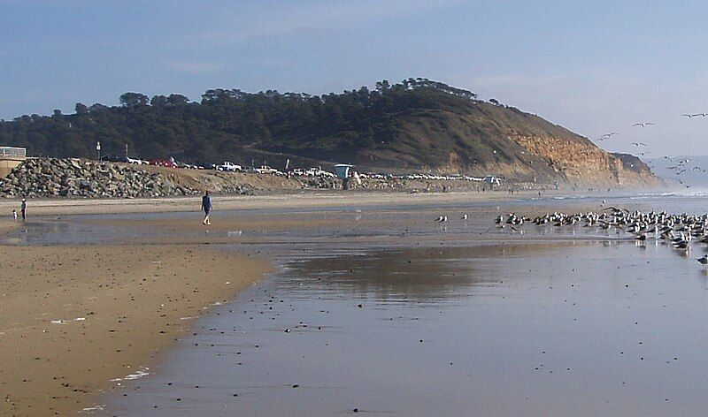 File:TorreyPinesBeach.JPG