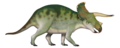 Triceratops