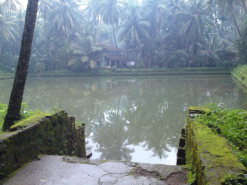 File:Trikkapaalam Pond.jpg