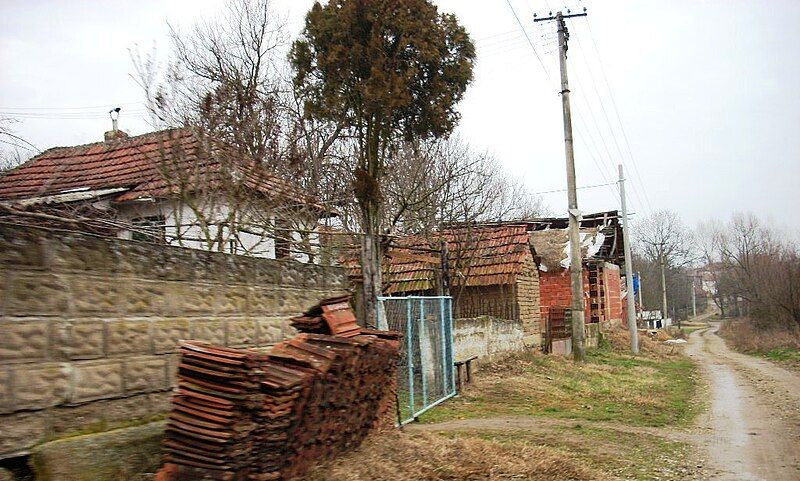 File:Ћуковац-улица - Ćukovac-street.JPG