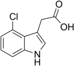 Skeletal formula of 4-chloroindole-3-acetic acid