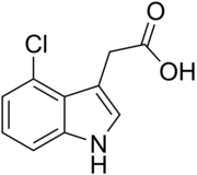 Skeletal structure diagram