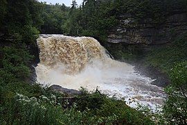 Blackwater Falls