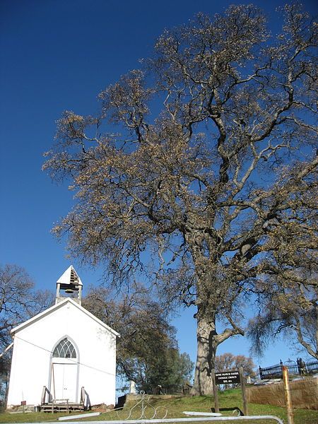 File:ChineseCampCatholicChurch.JPG