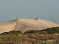 Sand dunes near Eucla