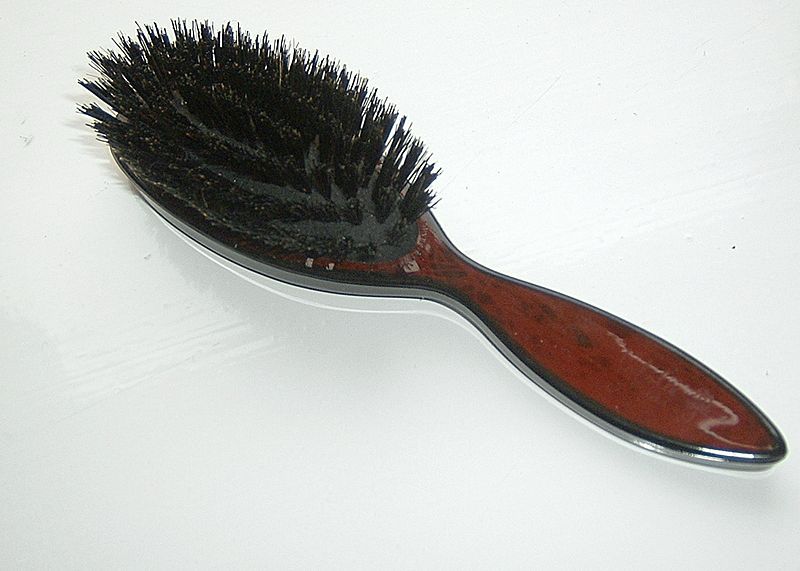 File:Hairbrush flat.JPG