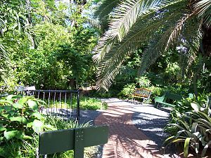 A courtyard area