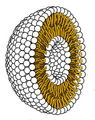 Image 38Cross-section through a liposome (from History of Earth)