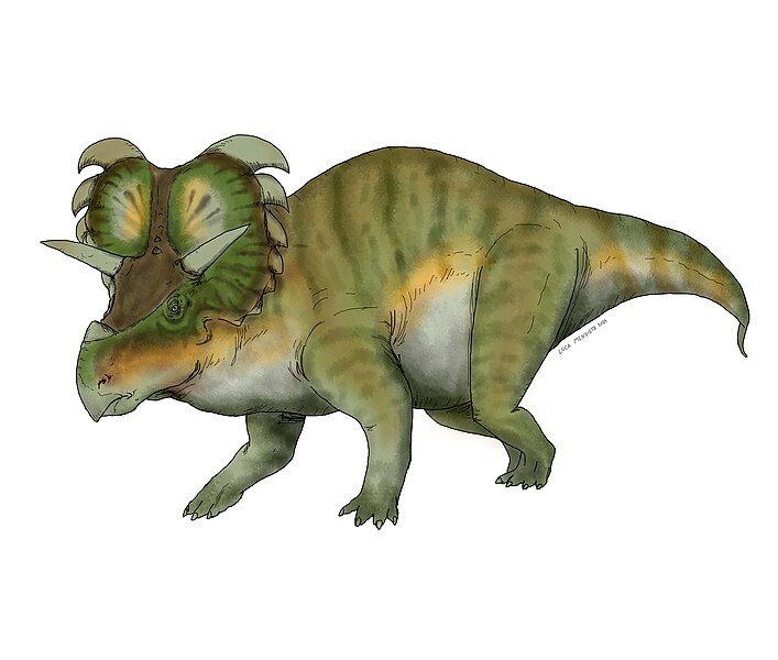 File:MEDUSACERATOPS.jpg