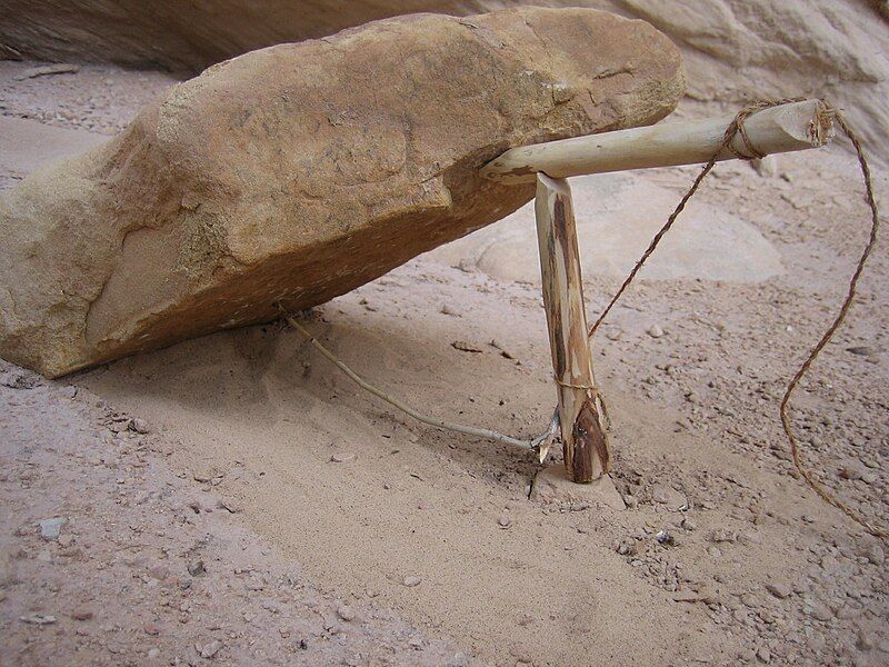 File:Paiute Deadfall Trap.JPG