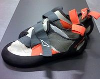 A modern climbing shoe by Quechua