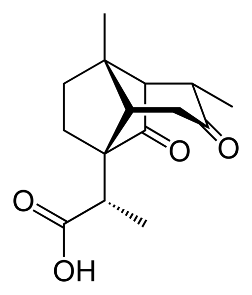 File:Santonic-acid-2D-skeletal.png