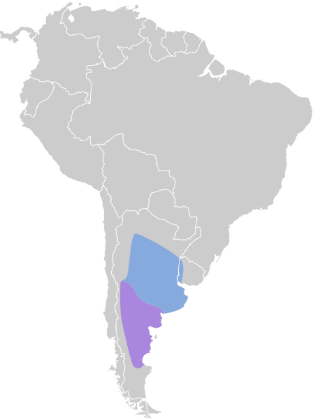 File:Xolmis rubetra map.svg