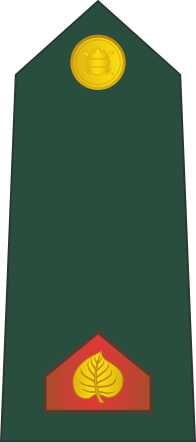 File:01-Slovenian Army-LCP.svg