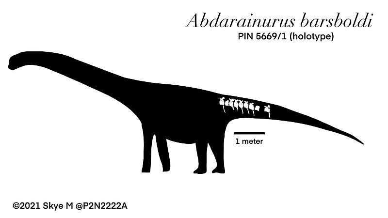 File:Abdarainurus.jpg