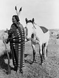 Accused murderer, Chief Crow Dog (Kangi Sunká)