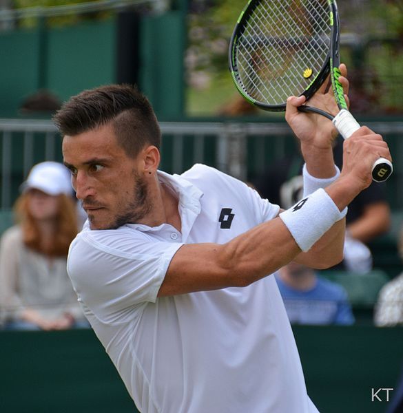 File:Damir Dzumhur (27697054734).jpg