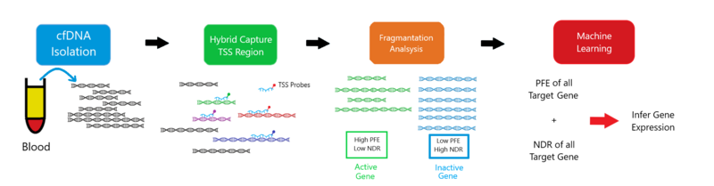 File:EPIC-seq workflow.png