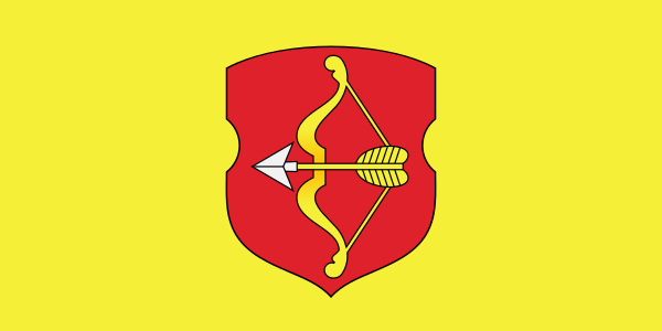 File:Flag of Pinsk.svg