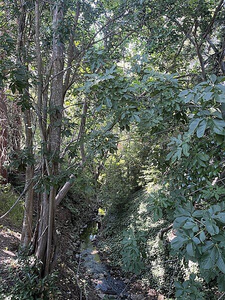 File:Grizzly Creek Environment.jpg