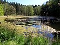 Hütter Klosterteiche Nature Reserve