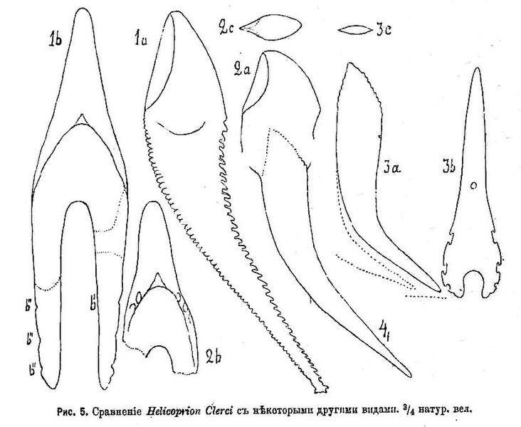 File:Izviestiaimper06100110impe 0794.jpg