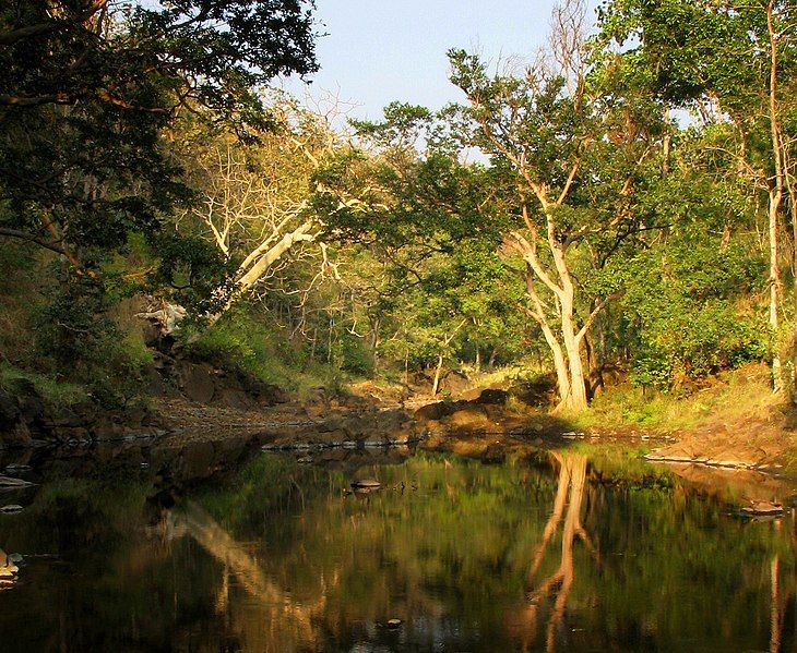 File:Melghat lake.jpg