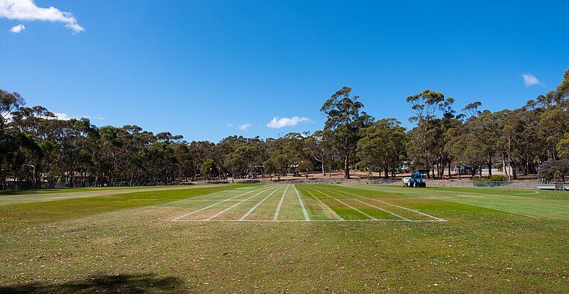 File:Mount Nelson Oval.jpg