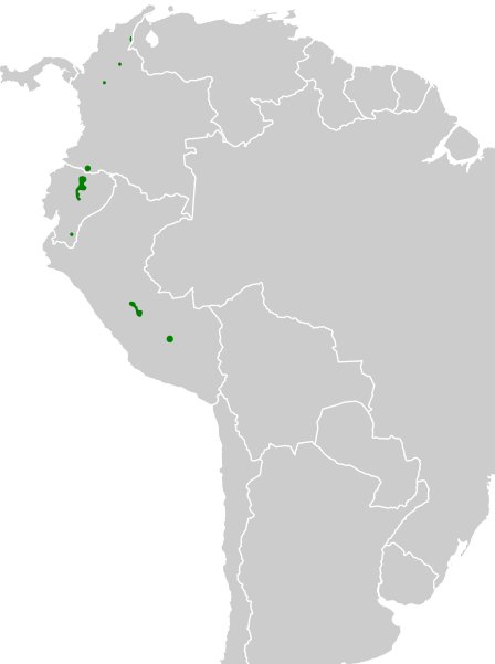 File:Myiopagis olallai map.svg