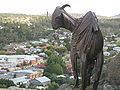 Nanny Goat Hill Cooma NSW