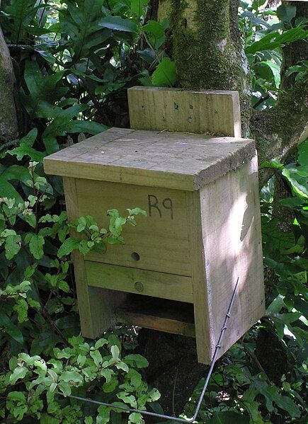 File:Nest box 01.jpg