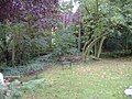 Flowering Plum, Sugar Maple, Trembling Aspen, Silver Maple and Common Horsechestnut are visible in this image of my back yard, 26/9/2007.