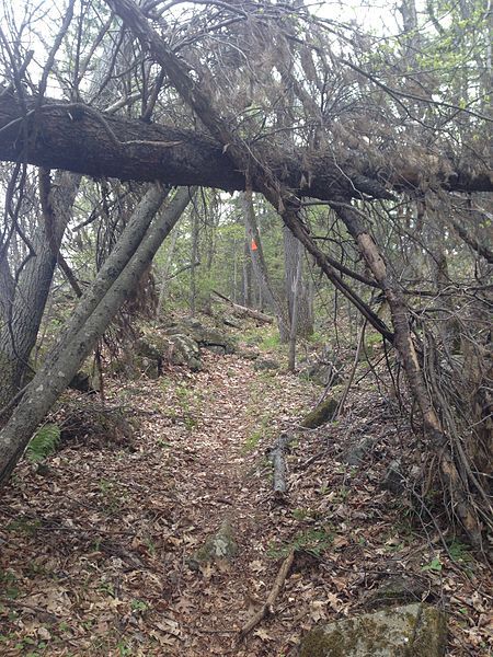 File:RideauTrailSouthbound.jpg