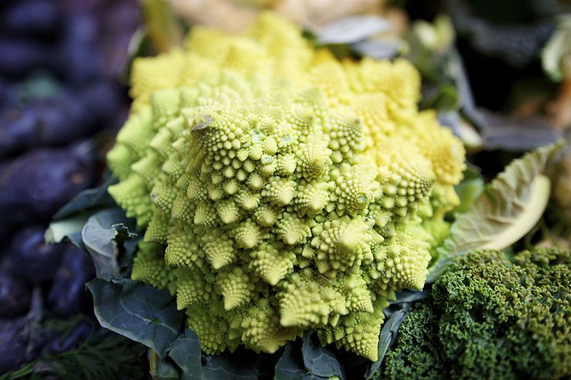 File:Romanesco broccoli (3).jpg